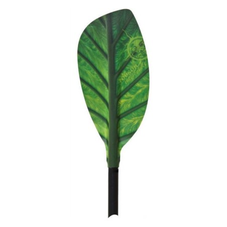 Pala Chlorophyll Robson