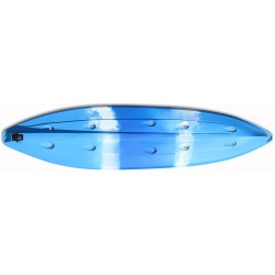 Gemini  Pesca