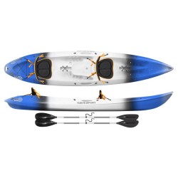 Kayak Gemini Perception
