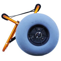 Carro Balloon Aqua Design