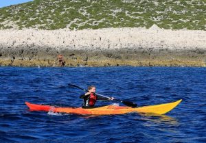 Cómo elegir un carro para nuestro kayak – Blog de Portear Kayaks